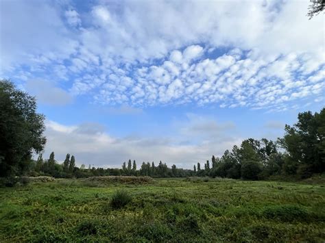 Recorriendovitoria Humedales De Salburua Eitb Eus Flickr