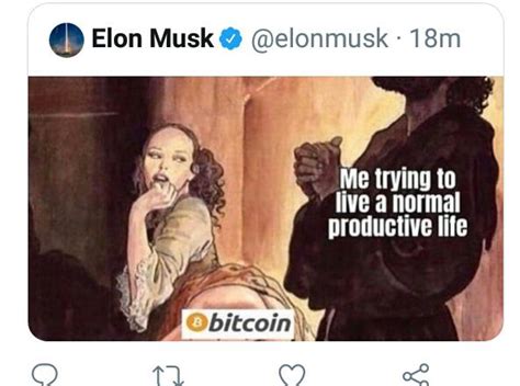 Elon Musk's Bitcoin Tweet 🚀 : r/BitcoinAUS