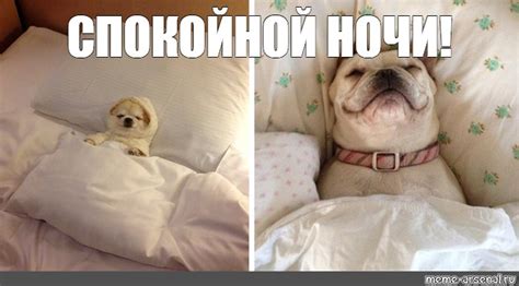Meme: "СПОКОЙНОЙ НОЧИ!" - All Templates - Meme-arsenal.com
