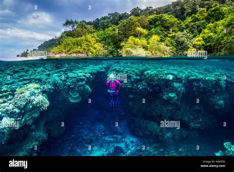 Split Image Shot Of Blond Female Scuba Diver Exploring Coral Reef With