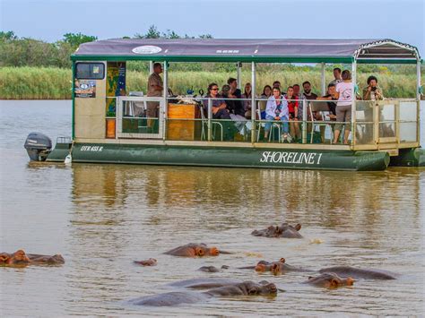 Shoreline Hippo And Croc Cruises St Lucia 2022 Alles Wat U Moet