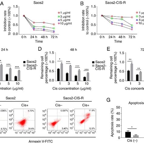 Establishment And Identification Of Cisplatin Resistant Cells Saos2