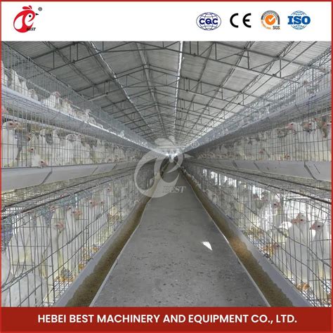 Bestchickencage China Sells Chicken Coop Factory A Frame Automatic