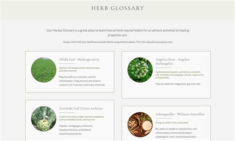 Herb Glossary Lets Be Holistic Herbal Medicine And More