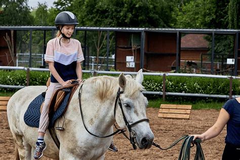 Lerne Reiten Mit Den Richtigen Reitkursen Reiterguide Magazin