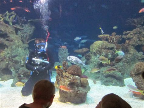 Love 2 Travel With Kids: Greensboro Science Center – Aquarium, Museum ...