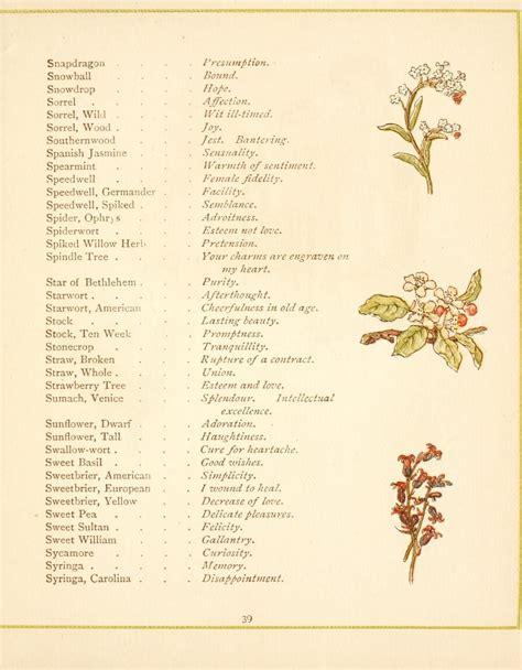 Language of flowers : Greenaway, Kate, 1846-1901 : Free Download ...