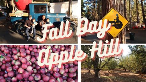 Visiting High Hill Ranch Apple Hill November 2020 Youtube