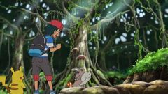 Jungle Sombrefeuille Poképédia