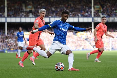 Everton 2 0 Norwich Live Blog Blues Do Just Enough To Win Royal Blue Mersey