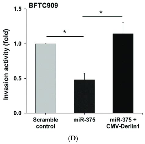 MiR 375 3p Negatively Regulates Derlin 1 And Blocks EMT In BFTC909