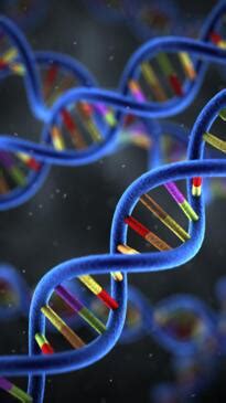 Qld Sex Offenders To Be Brought To Justice Under Double Jeopardy Changes To Go To Parliament