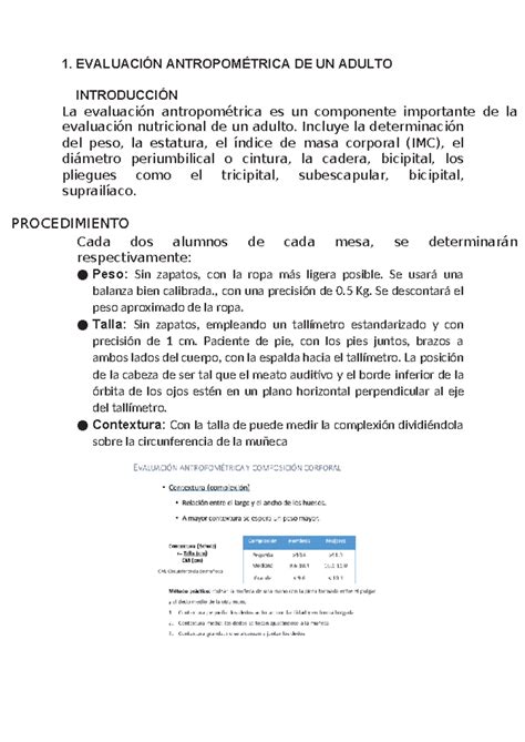 Bioca semana 12 1 EVALUACIÓN ANTROPOMÉTRICA DE UN ADULTO