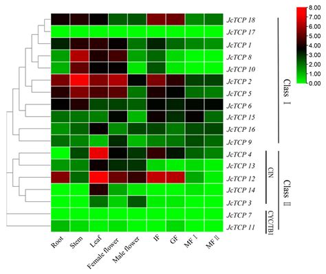 Forests Free Full Text Genome Wide Identification And Expression