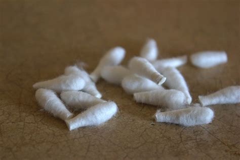 Beyond The Picket Fence Bestofdiy Spring Pussy Willows