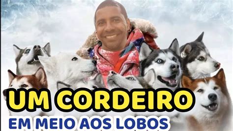 Um Cordeiros Em Meio Aos Lobos Em Busca Do Sol Da Meia Noite Na