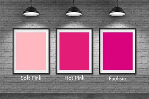 Soft Pink Vs Hot Pink Vs Fuchsia Shades Of Pink Explained Howthingscompare