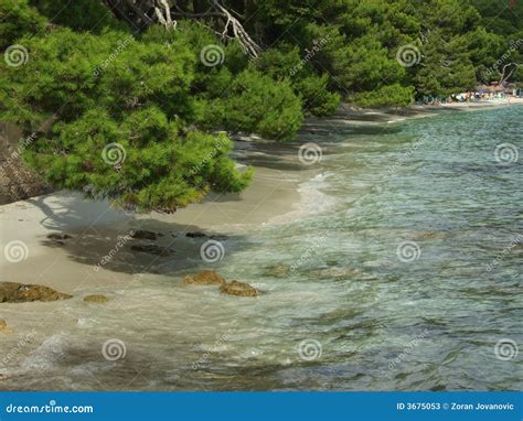 Formentor Beach on Mallorca Stock Image - Image of europe, green: 3675053