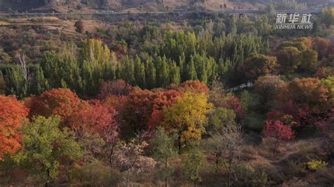 瞰中国｜河北唐县：秋日黄昏 红叶似霞落山间凤凰网视频凤凰网