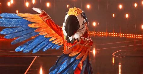 Who Is Macaw On The Masked Singer? Fans Think It's An American Idol Alum