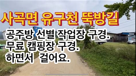 7 맨발걷기 장소 공주시 사곡면 유구천 뚝방 Youtube