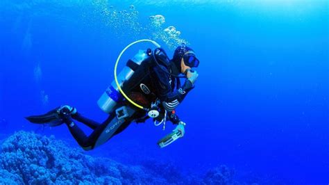 Buceo En Puerto Vallarta Scuba Dive Pvr Tours