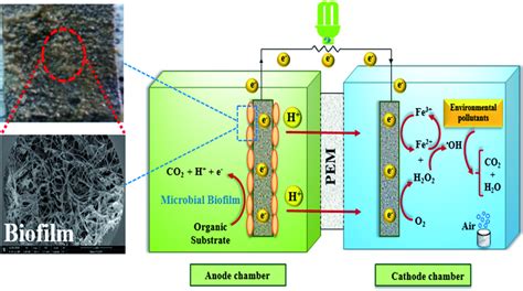 Schematic Diagram Of Bio Electro Fenton System With Microbial Biofilm