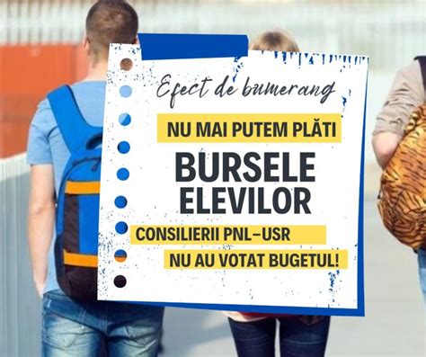 Bursele Elevilor I Indemniza Iile Persoanelor Cu Handicap N Pericol