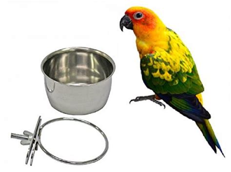 Bird Parrot Feeding Cups Cage Hanging Bowl Stainless Steel Perches Play