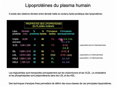 Dfgsm Ue Cours Lipides Pr Rom O Ricci