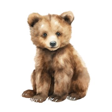 Brown Bear Cub Watercolor Clipart Ai Generated Watercolor Water Color