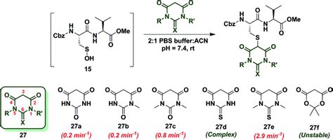 Reaction Of Sulfenic Acid 15 With Barbituric Acid Based Nucleophiles Download Scientific Diagram