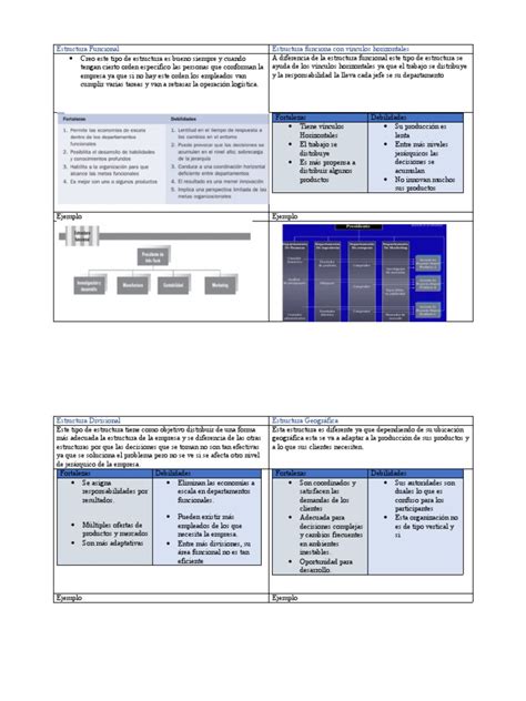 Estructura Funcional Pdf Business Economias