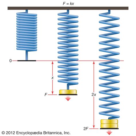 Elasticity Definition Examples And Facts Britannica