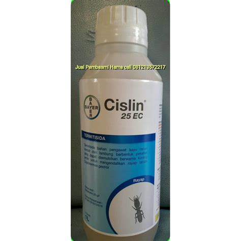 Jual Cislin Ec Proteks Basmi Rayap Tanah Coptotermes Gestroi Pd