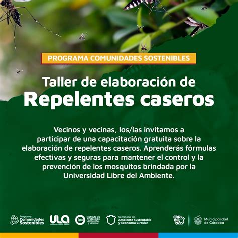 Aprendé Cómo Hacer Repelentes Caseros Contra Los Mosquitos El Diario