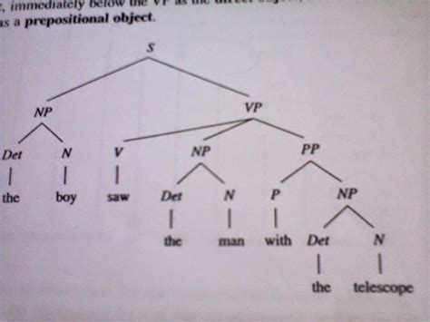 Phrase Tree Diagram Generator What Is Tree Diagram In Syntax