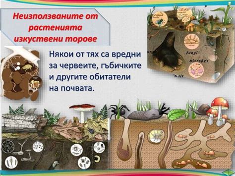 3. Почва - ЧП, 4 клас, Булвест | PPT