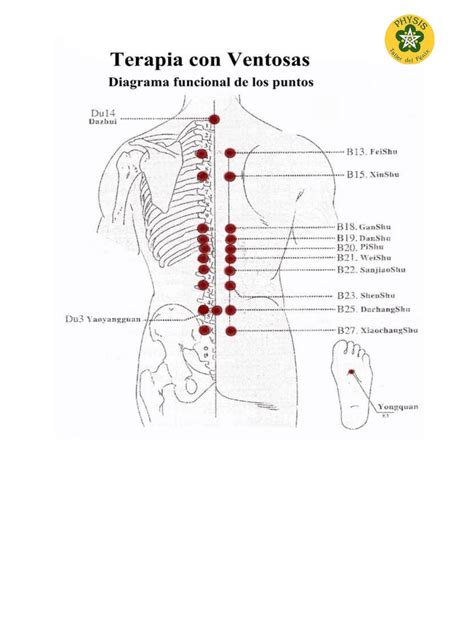 Pin En Fisioterapia