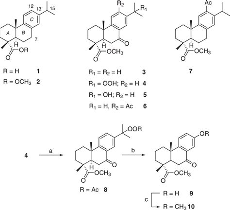 Oxidised Derivatives Of 1 Reagents And Conditions A Ac2o Dmap Download Scientific Diagram