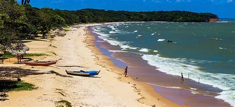 Ilha De Maraj Onde Fica Como Ir Hospedagem E Roteiros