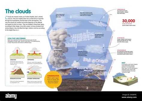 Infographic About The Process Of Formation Of The Clouds And Their