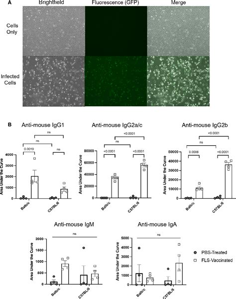 Figure 1 From Multiplex Flow Cytometry Based Assay For Quantifying