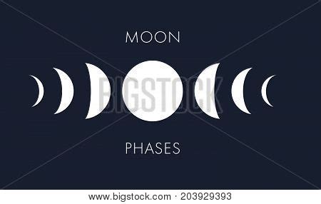 Moon Phases Vector Vector & Photo (Free Trial) | Bigstock