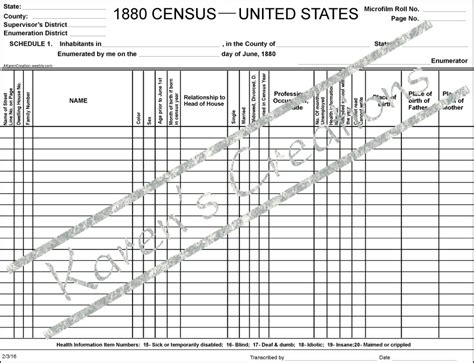 1880 Blank Census Form Instant Digital Download