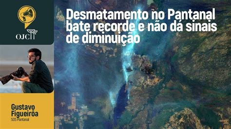 Desmatamento no Pantanal bate recorde e não dá sinais de redução YouTube