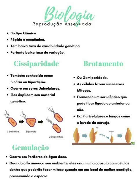 Mapa ReproduÇÃo Assexuada Parte 1 Estudos Para O Enem Planos De