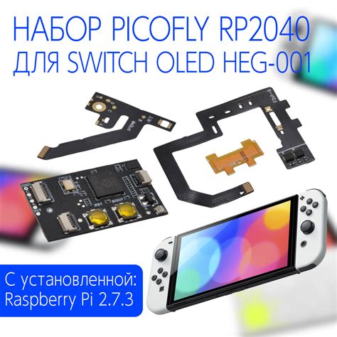 Rp Picofly Hwfly Nintendo Switch Oled