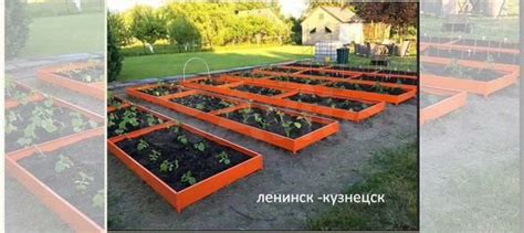 Грядки для цветов купить в Новосибирске | Товары для дома и дачи | Авито