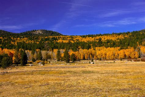 Aspen Ridge Photograph By Michael Courtney Fine Art America